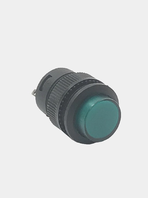 Кнопка без фиксациии с подсветкой R16-503BD-G