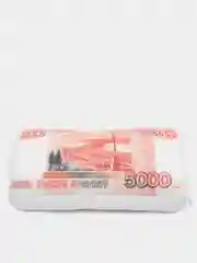 Красный подушка "Купюра"