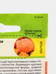 Семена Тыква "Медовая Каша", раннеспелая, 2 г