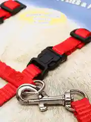Красный шлейка с поводком для кошек прогулочная, 6 цветов