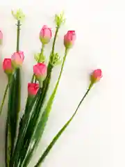 Тёмно-розовый искусственные цветы "Розочки"