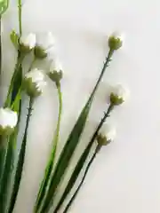 Белый искусственные цветы "Розочки"