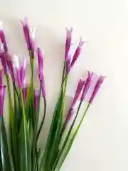 Аметистовый искусственные цветы "Колокольчики"