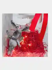 Красный пакет Новый Год/Подарочный пакет/Подарочный пакет с наполнением/Подарочная упаковка