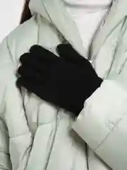 Черный сенсорные перчатки (Унисекс)