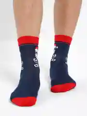 Индиго новогодние носки Christmas, в подарочной жестяной коробочке, 3 пары