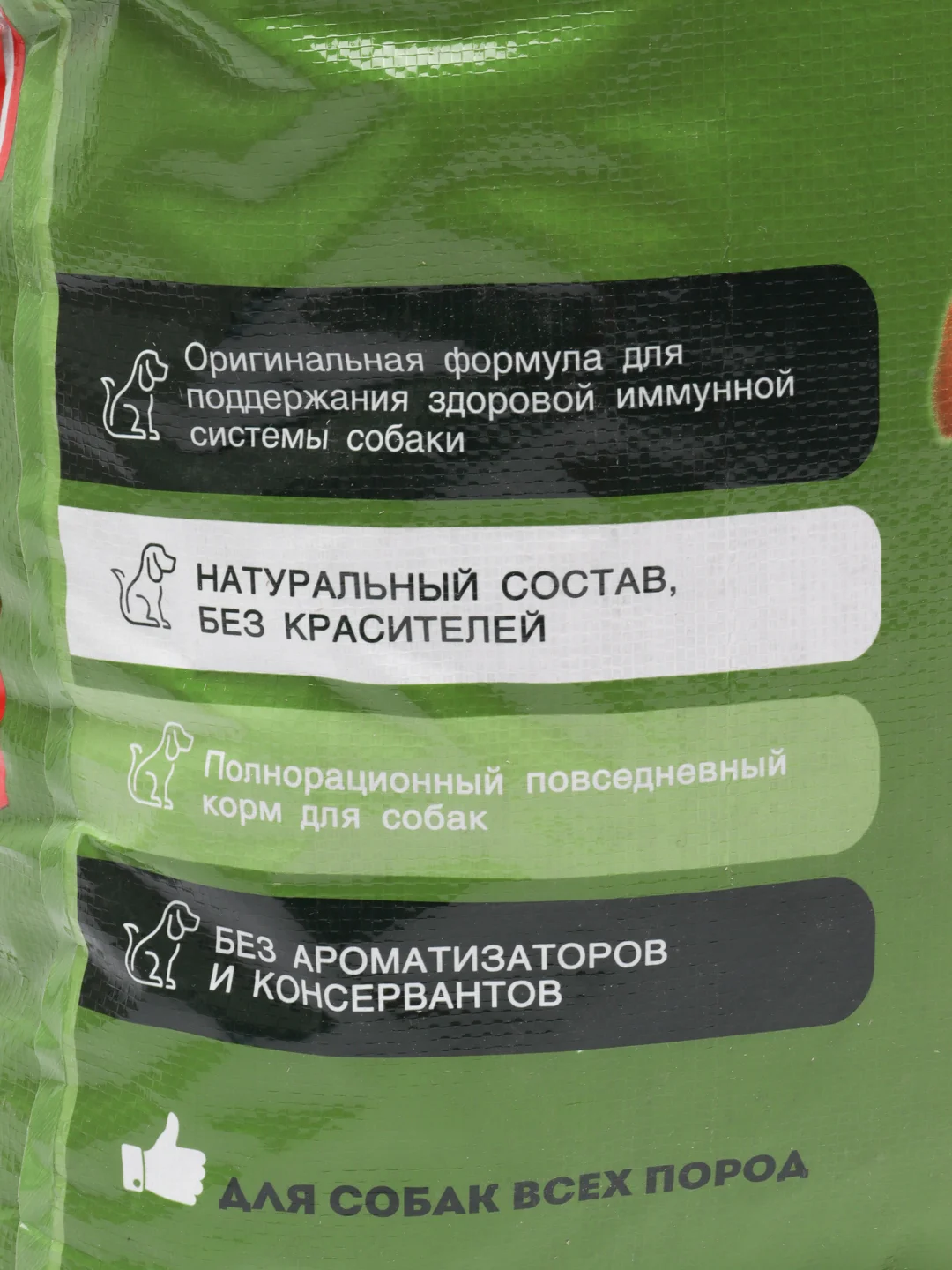 Корм сухой Терагав Big professional для взрослых собак крупных пород 13кг