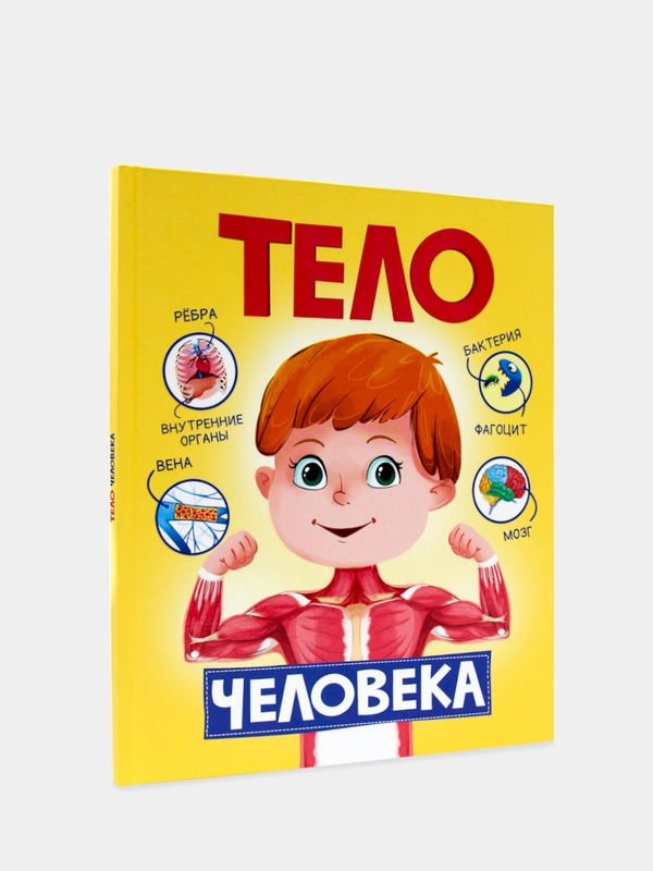 Книга для детей "Тело человека", Проф-Пресс