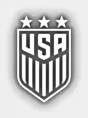 Белый наклейка на авто "USA"