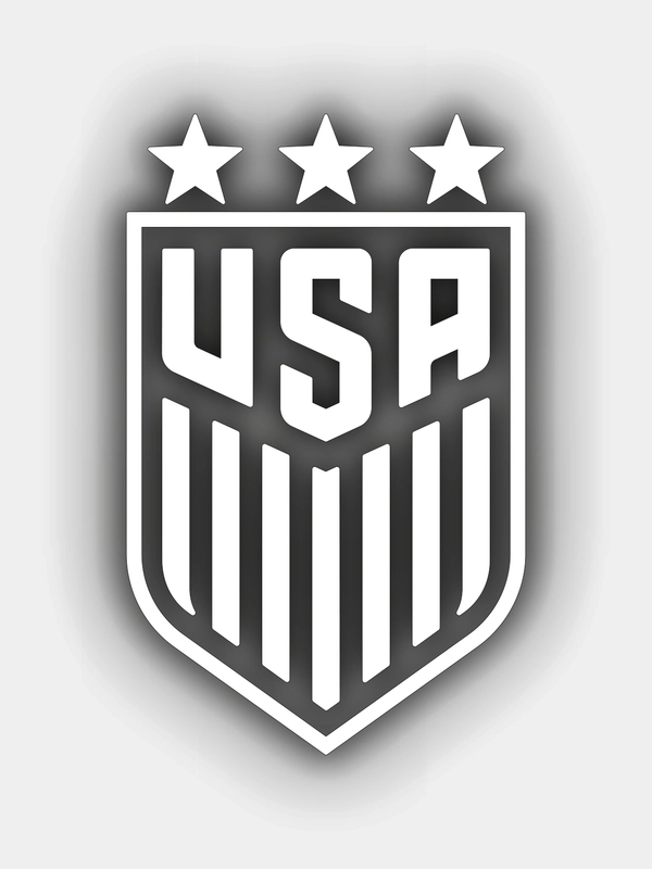 Наклейка на авто "USA"