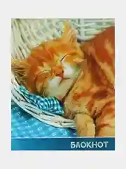 Белый блокнот А7 40 листов в клетку на скрепке "Милые животные" обложка мелованный картон