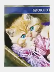 Бежевый меланж блокнот А7 40 листов в клетку на скрепке "Милые животные" обложка мелованный картон