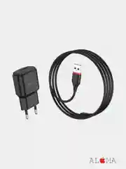 Зарядное устройство Borofone BA48A Orion с кабелем Lightning, 2.1A