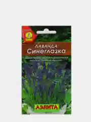 Лаванда Синеглазка (семена,цветы)