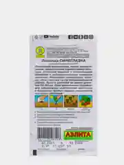 Лаванда Синеглазка (семена,цветы)
