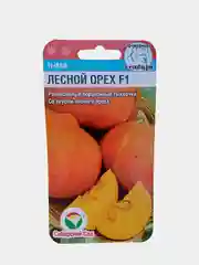 Тыква Лесной орех F1 (семена сибирский сад)