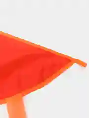 Воздушный змей