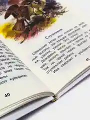 Лесные сказки, Сладков Н. И (У156116)