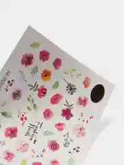Коралловый меланж слайдеры для ногтей Fashion Nails