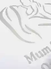Белый наклейка на авто "Мама с ребенком в машине"