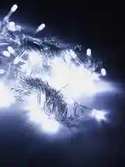 Белый электрогирлянда LED занавес (гирлянда-штора)