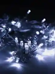 Белый электрогирлянда LED занавес (гирлянда-штора)