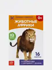 Багровый развивающие карточки по методике Г.Домана