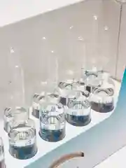 Дерматологически активный лосьон против выпадения волос FarmaVita Bioxil, 8 мл