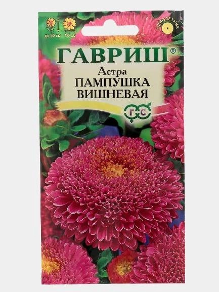 Семена Астра "Пампушка вишневая"