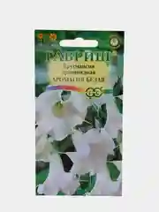 Бругмансия древовидное "Аромагия белая", Гавриш