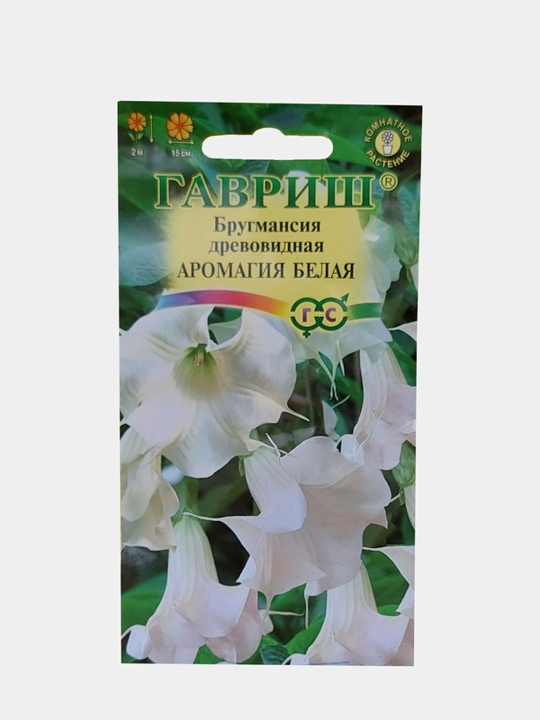 Бругмансия древовидное "Аромагия белая", Гавриш