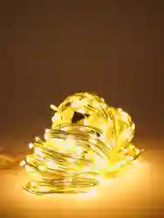 Электрогирлянда Сноу Бум, 300 LED, 3*3 м