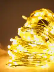 Электрогирлянда Сноу Бум, 300 LED, 3*3 м