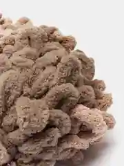 Бежевый пряжа Alize Puffy (Ализе Пуффи)