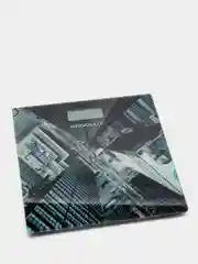 Весы напольные ERGOLUX ELX-SB02-C03, металлик