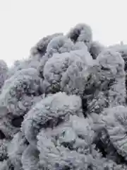 Серый металлик пряжа турецкая Alize puffy/ петельки / пряжа пальцами / микрополиэстер/ ализе пуффи