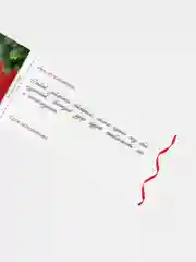 Набор для двоих "Новогодние горячие купоны", 5 штук, 18+