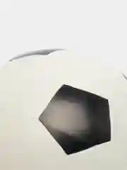 Мяч резиновый "Чемпион", 200 мм