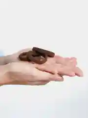 Шоколадный бесшовные мягкие резинки для волос