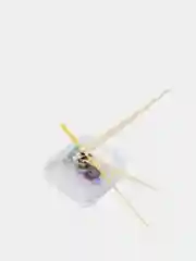 Золотой часовой кварцевый механизм плавного хода шток HM-18 мм