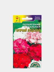 Семена Пеларгония зональная "Горячий поцелуй"