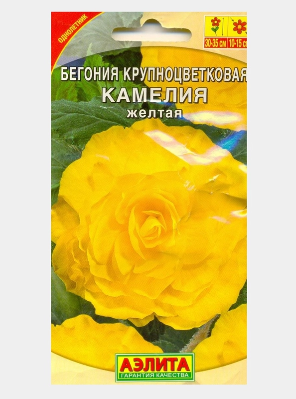Семена Бегония крупноцветная "Камелия желтая"