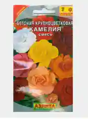 Семена Бегония крупноцветковая "Камелия" смесь