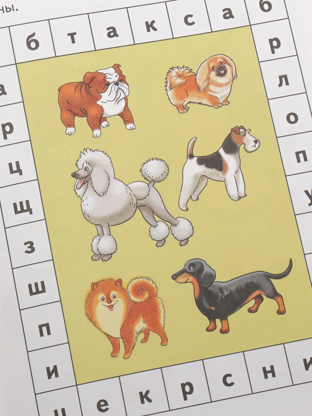 "Развивающие задания для детей 6-7 лет", Бортникова Е. Ф