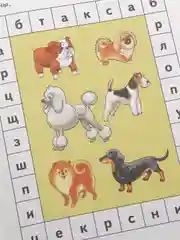 "Развивающие задания для детей 6-7 лет", Бортникова Е. Ф