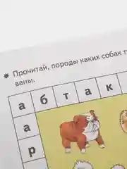 "Развивающие задания для детей 6-7 лет", Бортникова Е. Ф