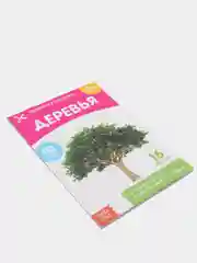 Оранжевый развивающие карточки по методике Г. Домана в одном месте (мега)