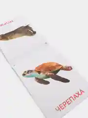 Небесно-голубой развивающие карточки по методике Г. Домана в одном месте (мега)