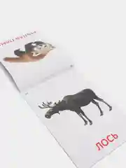 Горчичный развивающие карточки по методике Г. Домана в одном месте (мега)