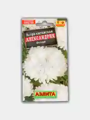 Астра "Александрия Белая", семена